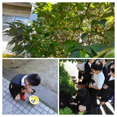 20260501_090404-COLLAGE