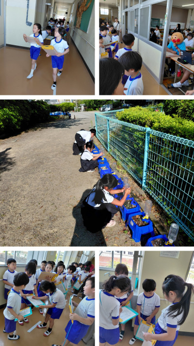20260519_133506-COLLAGE