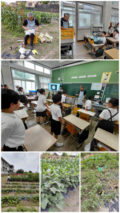 20260630_133119-COLLAGE
