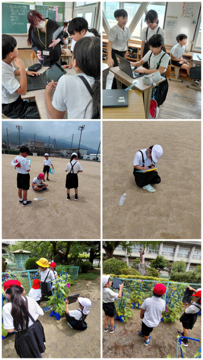 20260707_111330-COLLAGE