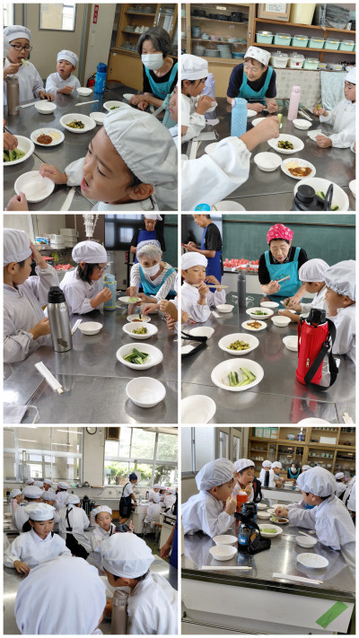 20260716_123347-COLLAGE