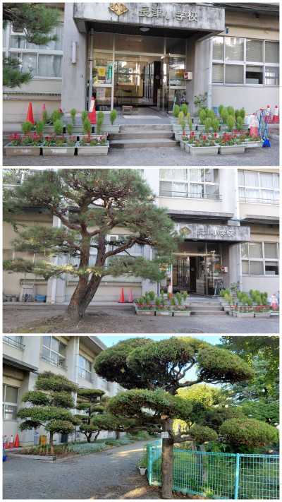 20260806_084942-COLLAGE