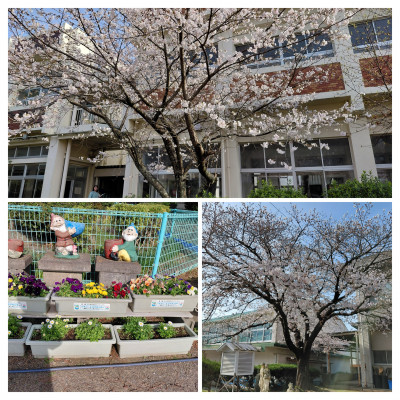 20260403_155340-COLLAGE