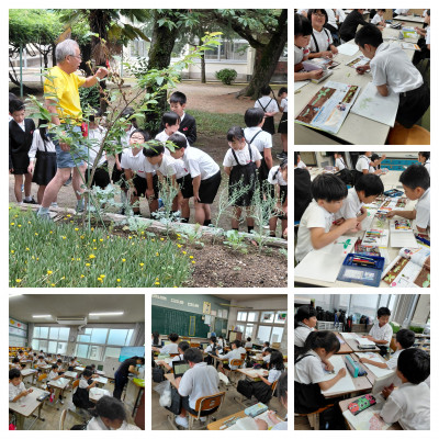 20260604_112134-COLLAGE