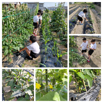 20260615_093308-COLLAGE