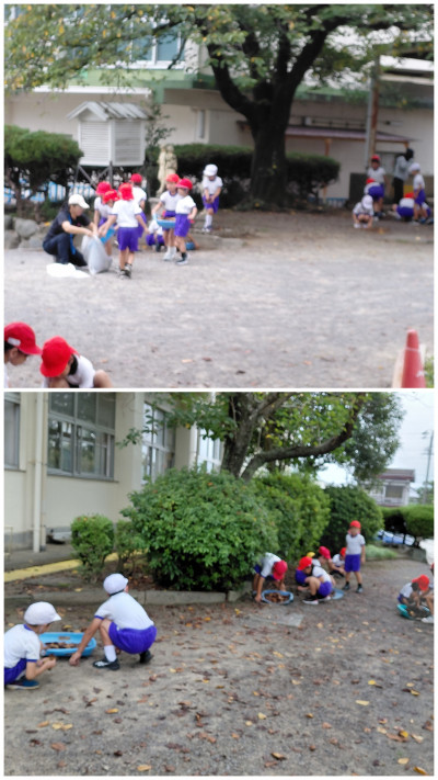 20260914_110042-COLLAGE