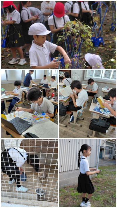 20260924_124740-COLLAGE